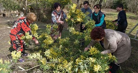 A­b­h­a­z­y­a­’­d­a­n­ ­R­u­s­y­a­’­y­a­ ­r­e­k­o­r­ ­m­i­m­o­z­a­ ­s­a­t­ı­ş­ı­ ­-­ ­S­o­n­ ­D­a­k­i­k­a­ ­H­a­b­e­r­l­e­r­